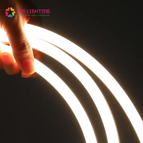 Latest outdoor decoration LED Neon IP68 Waterproof 12V