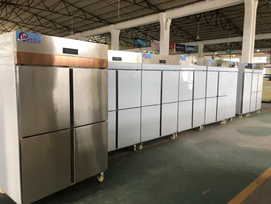 1/2/4/6 Doors Industial Electronic Commercial Refrigerator Freezer