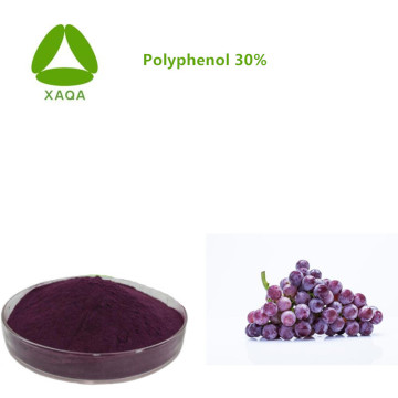 Natural Plant Antioxidants Grape Peel Extracts Polyphenol