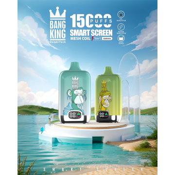 Wholesale 15000puffs Disposable vape Bang King Digital