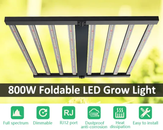 Best Led Grow Light For 5X5 Plants Tent