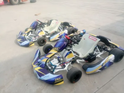 Kart Racing Frames & Components