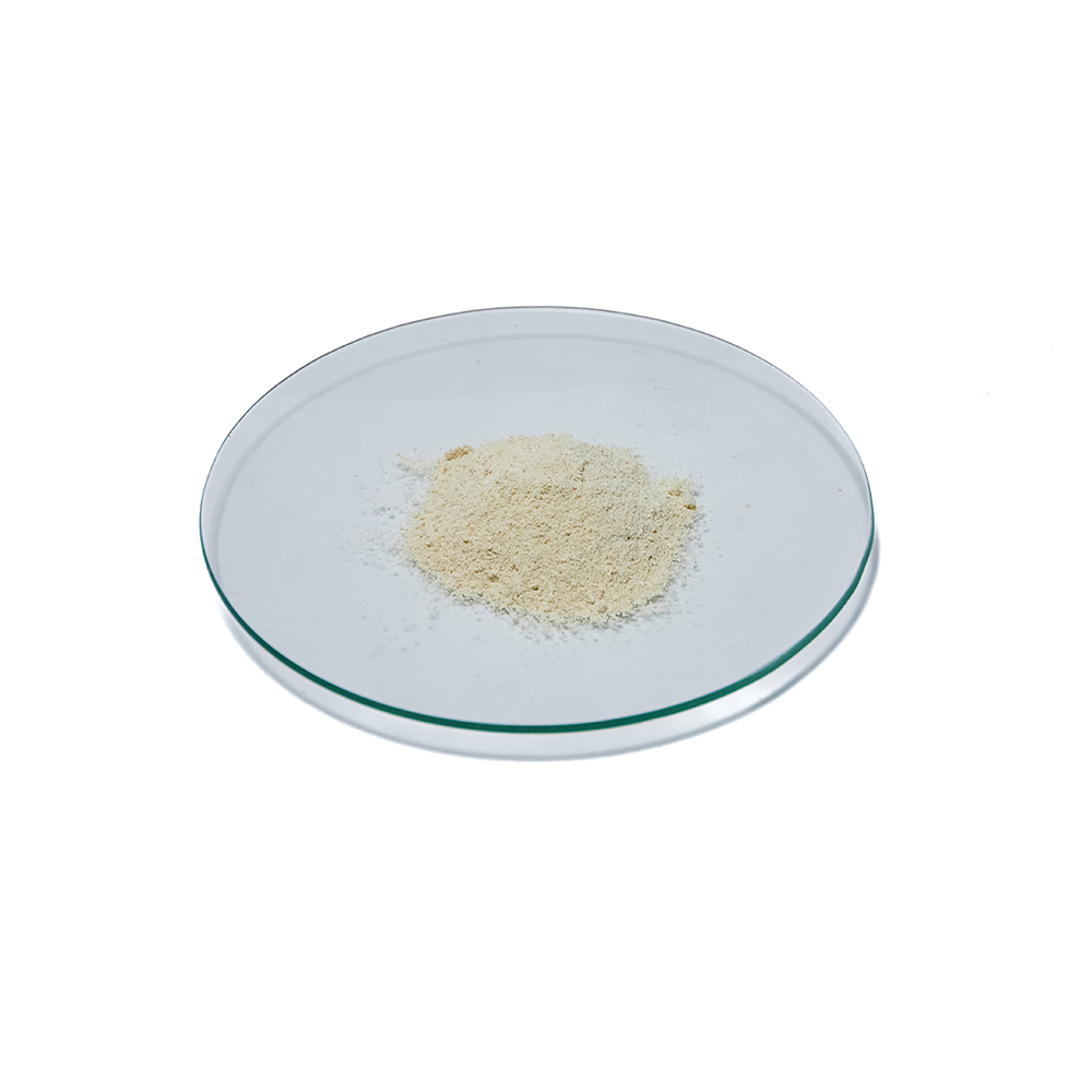 Soy Lecithin Powder Yellow