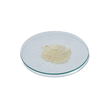 Soy Lecithin Powder Yellow