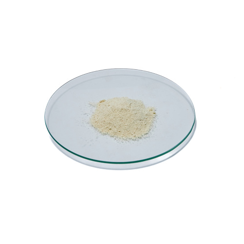 Soja -Lecithin -Pulver gelb