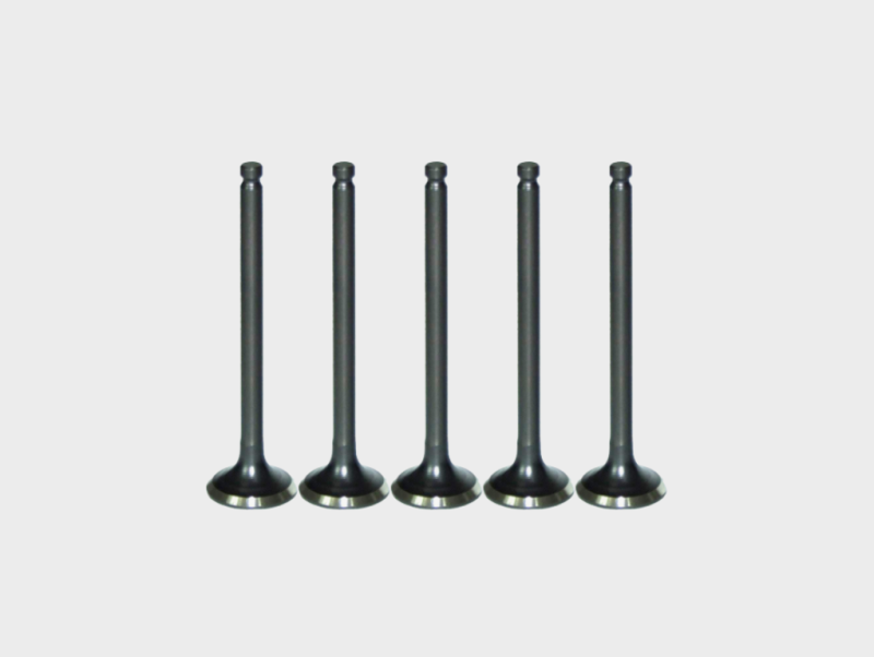 Durable Exhaust Valve for Engine Use