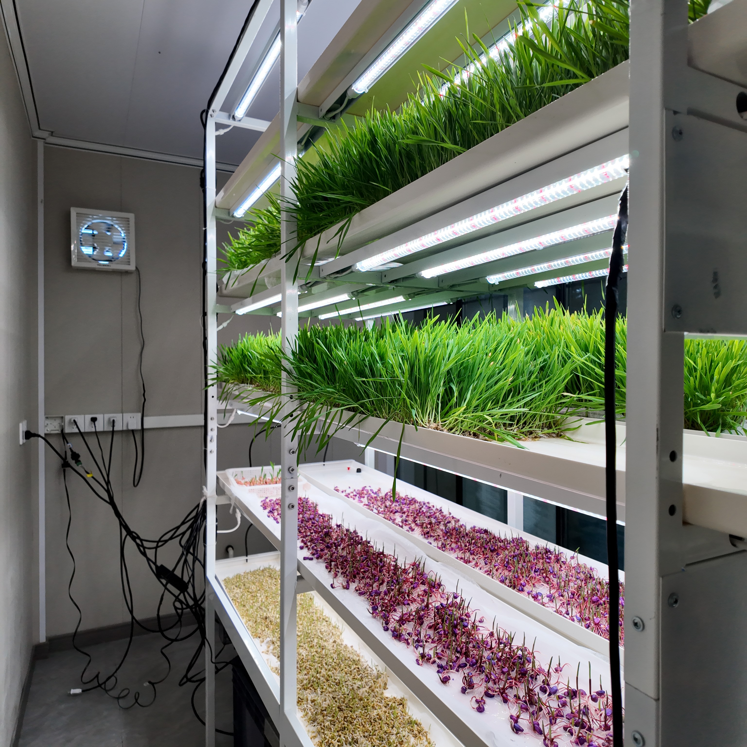 DJI_20250714161304_0057_D(1)