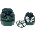 /msite/products/detail/productid/63611773/id/1517769.html