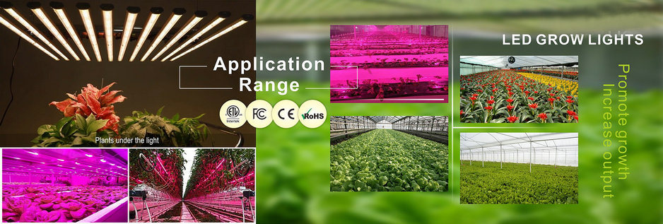 led grow light application