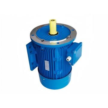 Moteur à aimant permanent XTPMP250M15-75