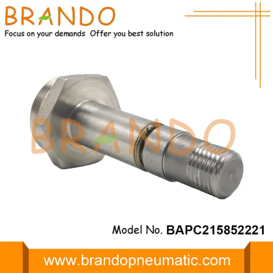 M30 Thread Seat Stainless Steel Plunger and Armature