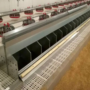 Sistema di nidificazione a strato automatico con trasportatore di raccolta di uova per l'allevamento di pollame
