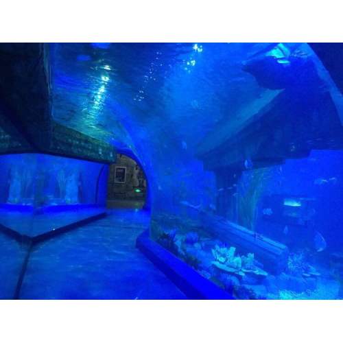 Пользовательский большой прозрачный акриловый туннель в океанском аквариуме