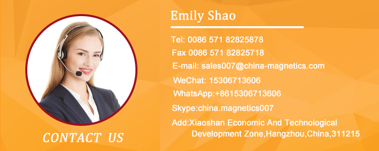 Emily Shao