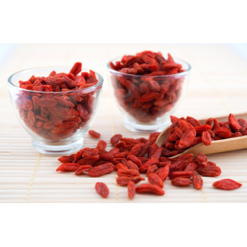 high-antioxidant fresh goji berry