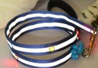 Reflective Pet Collar , LED Flashing Pet Lead/Leash, Pet Strap (1002)