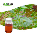 Amulyn Natural Bakuchiol Extract Bakuchiol Oil 98 ٪