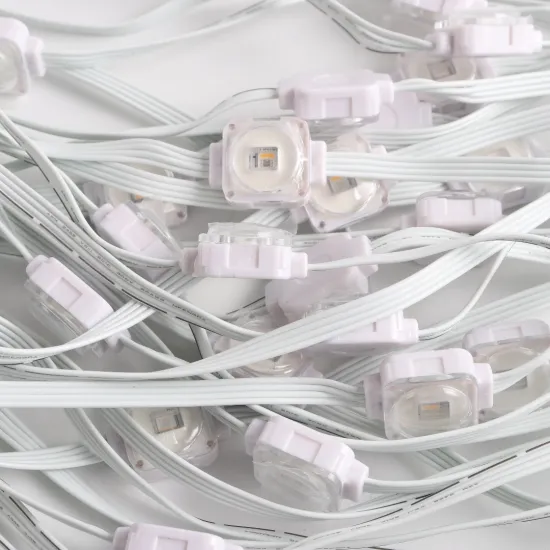 24V IP67 LED Outdoor Decorative Permanent Home Decor Lights