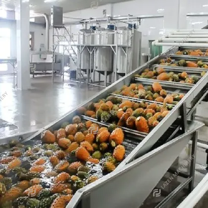 NFC Fresh Nature Fruit Juice Making Machine: Juice Extractor & Production Line