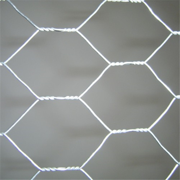 Hexagonal wire mesh