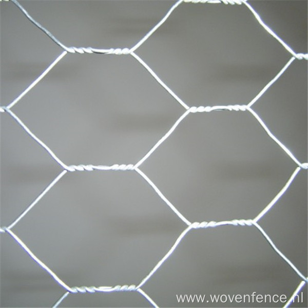 Hexagonal wire mesh