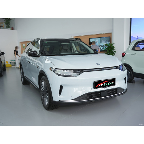 Leapmotor C11 2024 580 Premium Edition