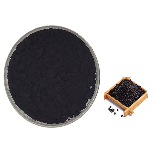 Wholesale Black Rice Extract Powder
