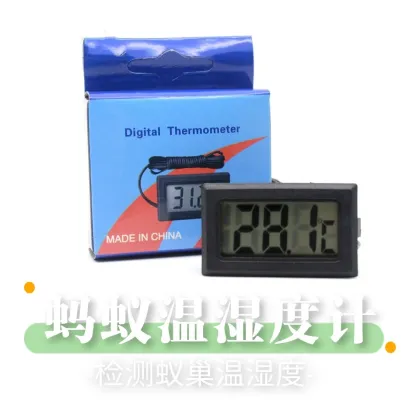 Ant Workshop: Ant Nest Accessories & Crawling Pet Supplies