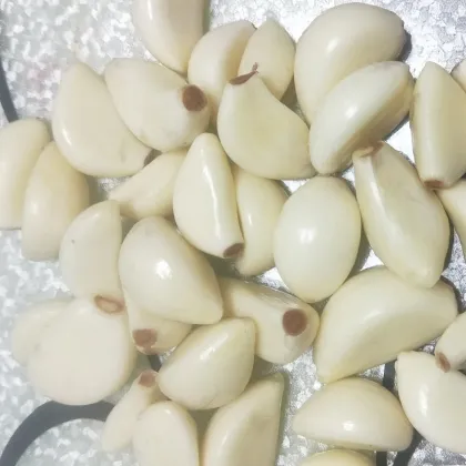 Fresh White Garlic Bulbs for Culinary Use