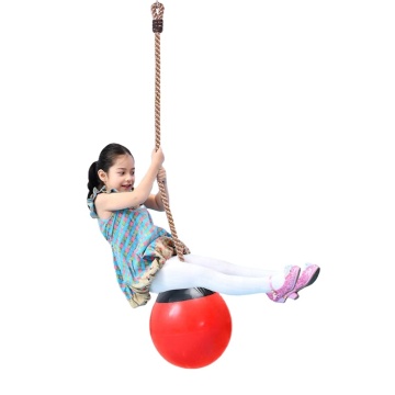 Distinctive Educational Toys: Combining Science, Sensory Learning, and Physical Development in Wooden Swings, Trapezes, Balls, Ladders, and Ropes for Children's Playgrounds
