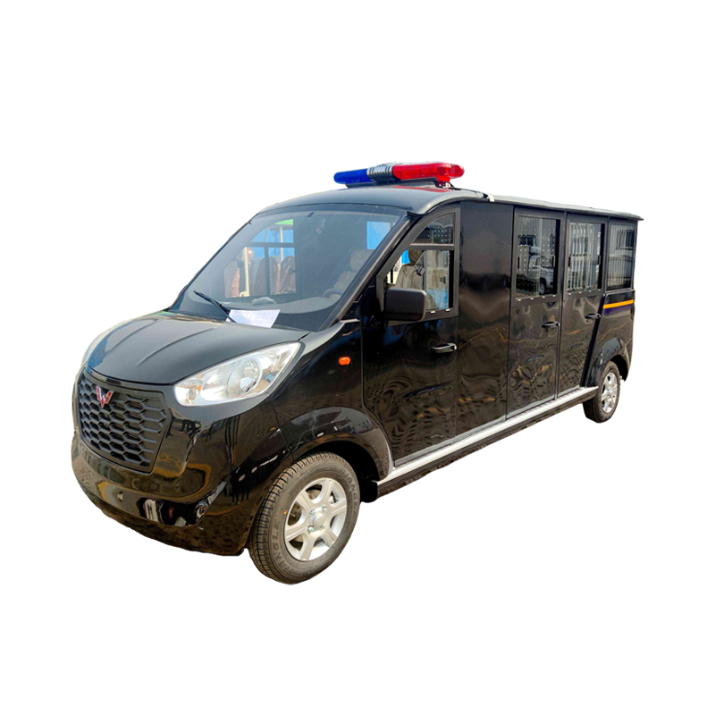 11-seat open petrol sightseeing car
