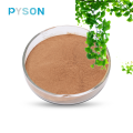 Prix ​​d&#39;usine 100% poudre de feuille de Ginkgo Biloba naturel