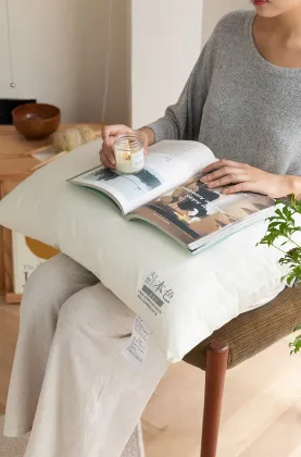 Cotton feather silk pillow