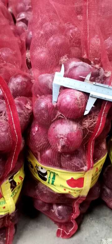 SELECTED SUPER QUALITY RED ONION