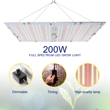 Xinjia Lighting 2000W Ultra-thin Panel Indoor Plant LED Grow Light - ZW0333