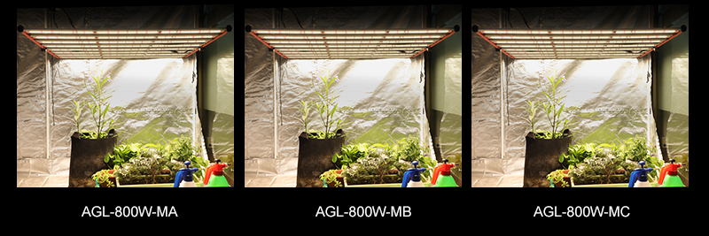 aglex LED تنمو ضوء طيف كامل 800W