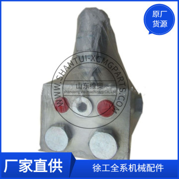 XCMG Truck Crane Rotary Control Control Clap 803001723 (20100269)