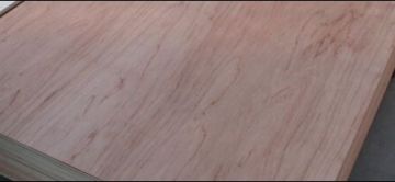 plywood