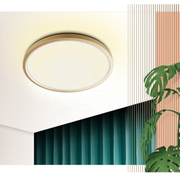 Modern Smart LED Ceiling Light for Bedroom and Corridor - 18W, RoHS, Smart Control