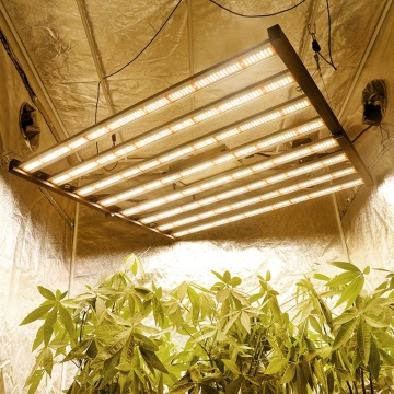 LEDs de alta calidad cubren con luz de cultivo