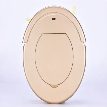 Automatic Clean Sweeping Robot