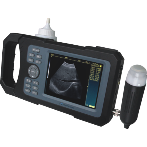 Digital Handheld Veterinary Ultrasound Scanner