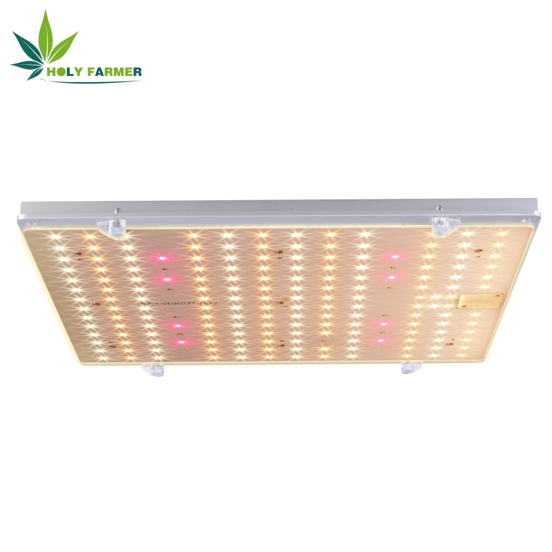 100wledgrowlight2