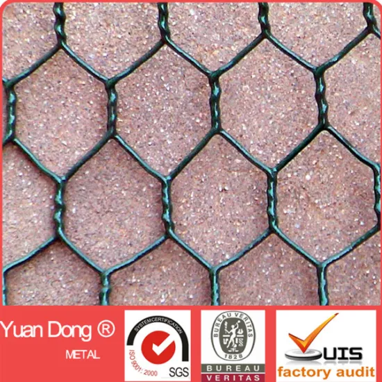 Galvanized /PVC Coated Hexagonal Wire Mesh For Cage