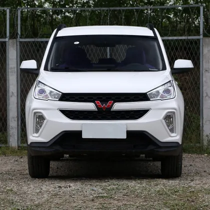 Family car Wuling Hongguang S3