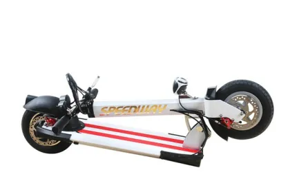 Myway Folding Electric Scooter 350w