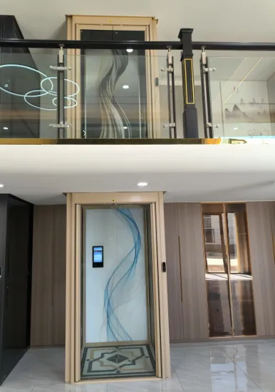 200KG Smallest Home Lift