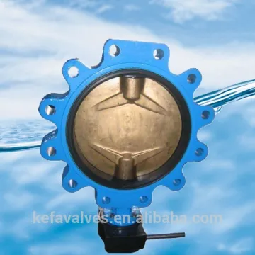 Lug type rubber lined butterfly valve without pin