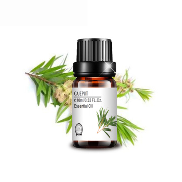 Pure Organic Certified Cajeput Essential Oil Kualitas Tinggi