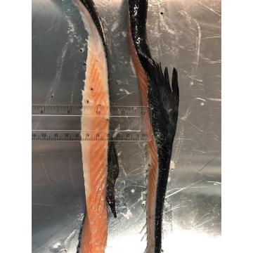 Frozen Salmon Back Trim